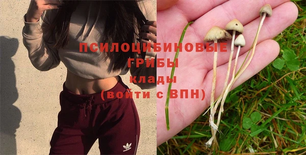 мескалин Богородск